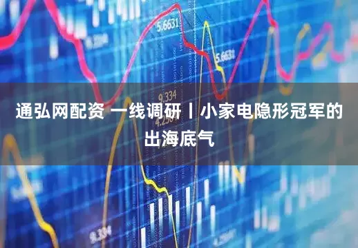通弘网配资 一线调研丨小家电隐形冠军的出海底气