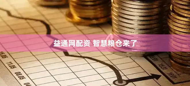 益通网配资 智慧粮仓来了