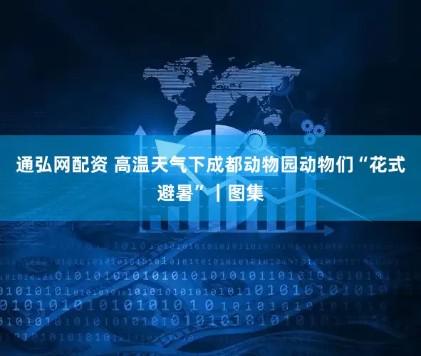 通弘网配资 高温天气下成都动物园动物们“花式避暑”｜图集
