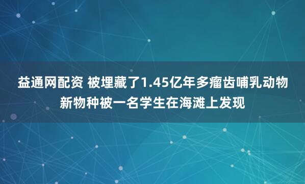 益通网配资 被埋藏了1.45亿年多瘤齿哺乳动物新物种被一名学生在海滩上发现