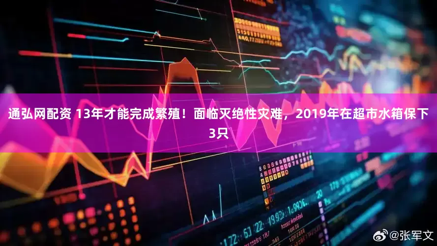 通弘网配资 13年才能完成繁殖！面临灭绝性灾难，2019年在超市水箱保下3只