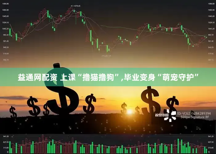 益通网配资 上课“撸猫撸狗”,毕业变身“萌宠守护”